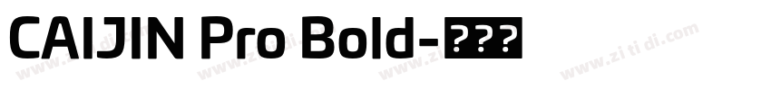 CAIJIN Pro Bold字体转换
